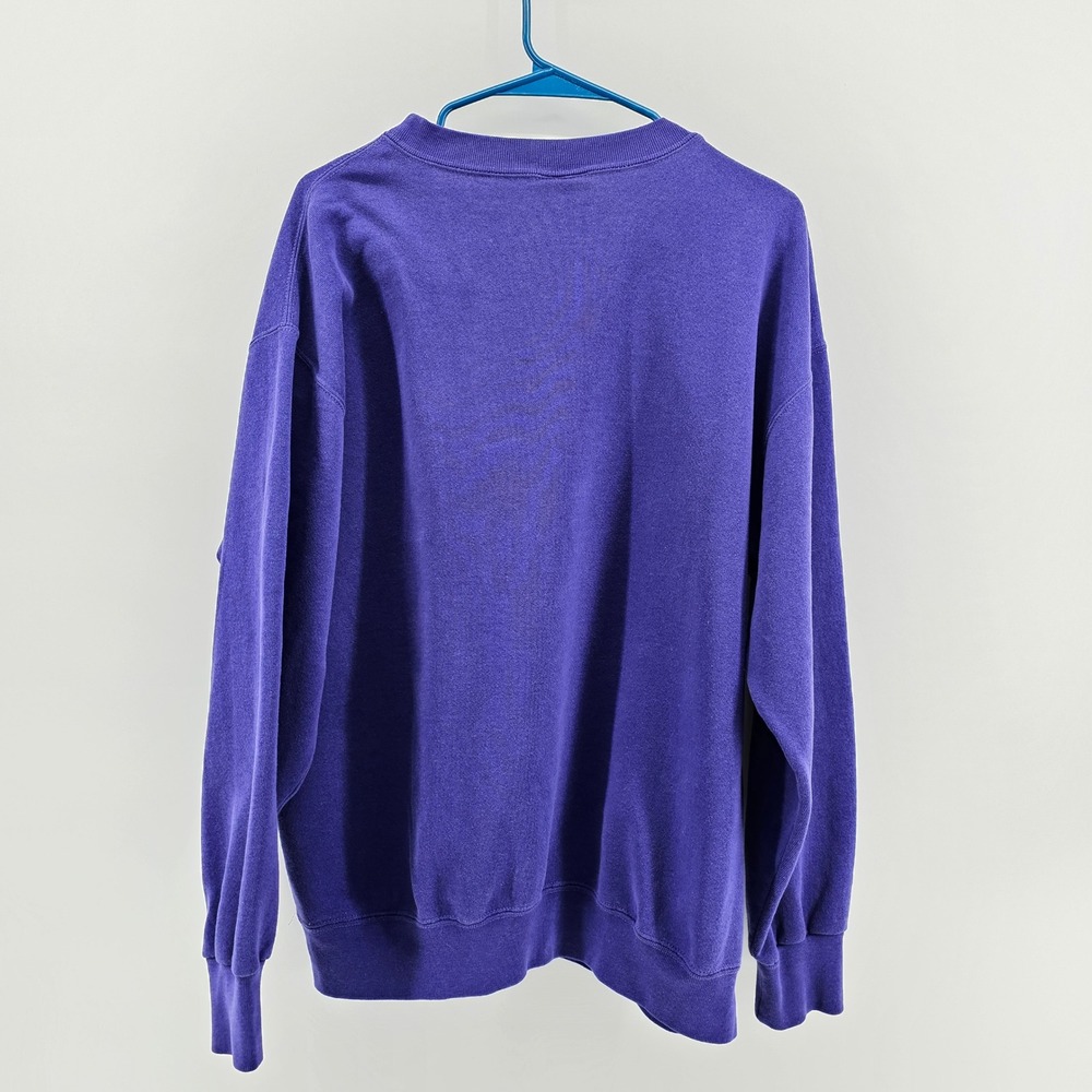 Nutmeg Charlotte Hornets Sweatshirt Mens Large Purple Vintage 90s NBA Crewneck - Picture 2 of 10